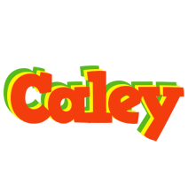 Caley bbq logo