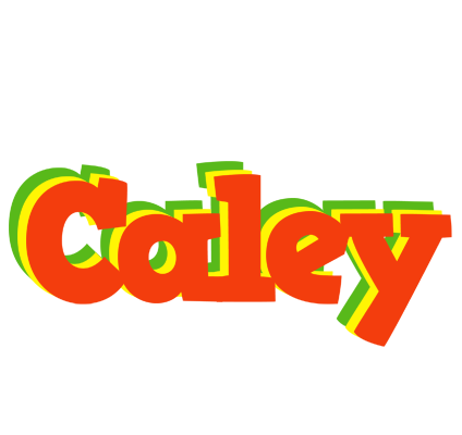 Caley bbq logo