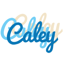 Caley breeze logo