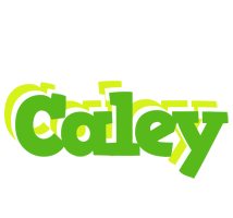 Caley picnic logo