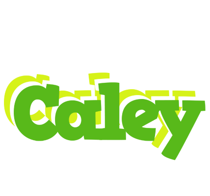 Caley picnic logo