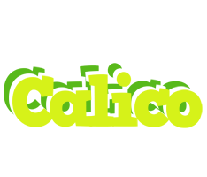 Calico citrus logo