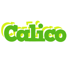 Calico picnic logo