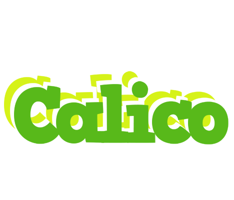 Calico picnic logo