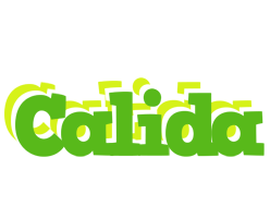 Calida picnic logo