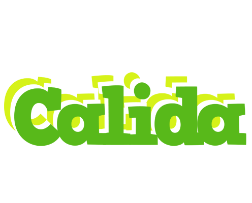 Calida picnic logo