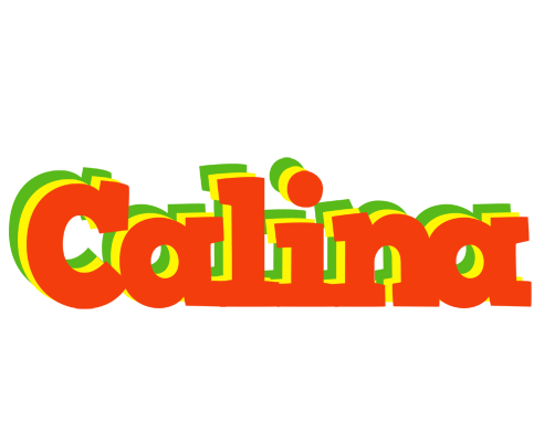 Calina bbq logo