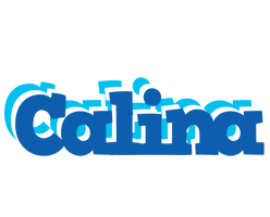 Calina business logo