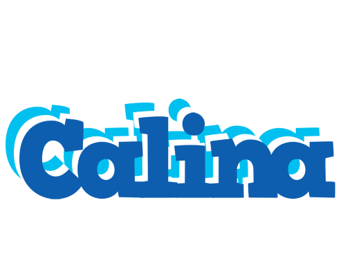 Calina business logo