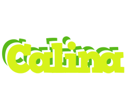 Calina citrus logo