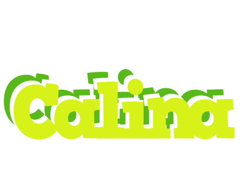 Calina citrus logo