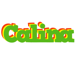 Calina crocodile logo