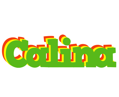 Calina crocodile logo