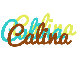 Calina cupcake logo