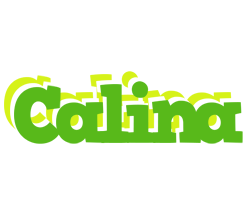 Calina picnic logo