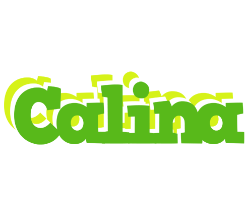 Calina picnic logo