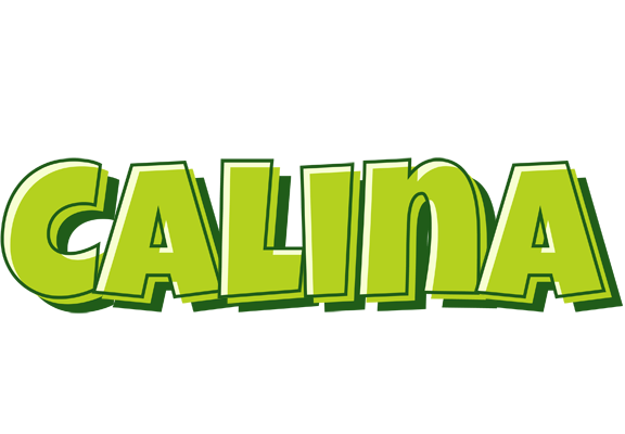 Calina summer logo