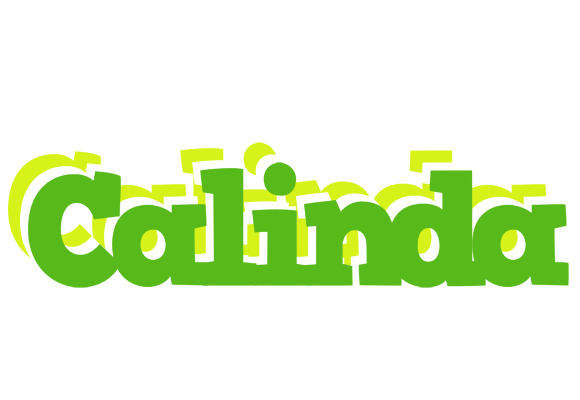 Calinda picnic logo