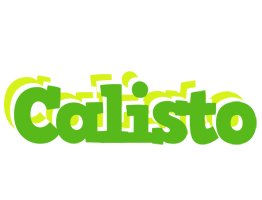 Calisto picnic logo