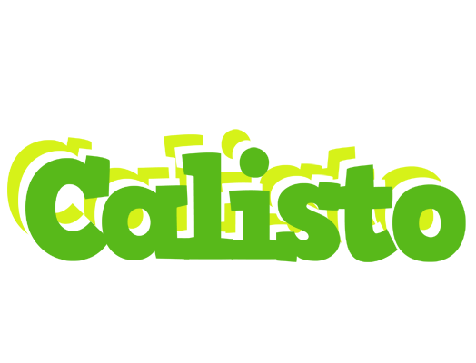 Calisto picnic logo