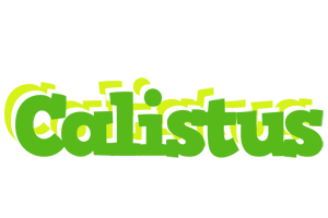 Calistus picnic logo