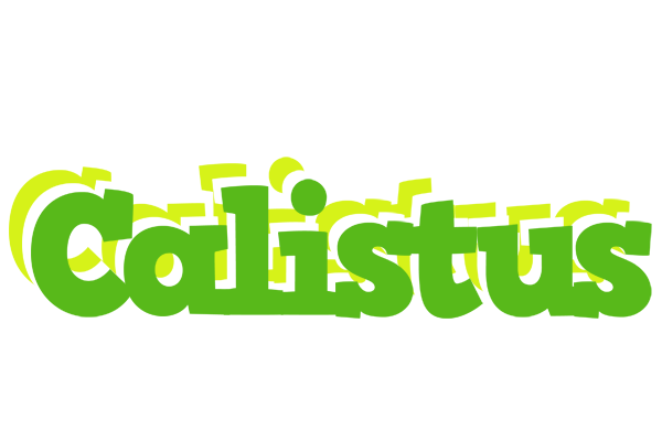 Calistus picnic logo