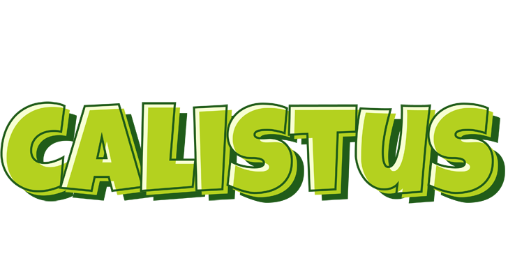 Calistus summer logo