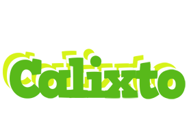 Calixto picnic logo