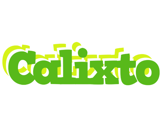 Calixto picnic logo