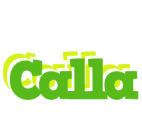 Calla picnic logo