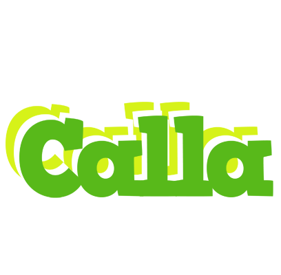 Calla picnic logo