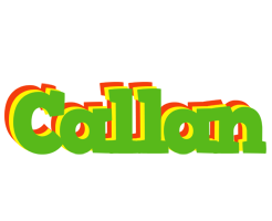 Callan crocodile logo