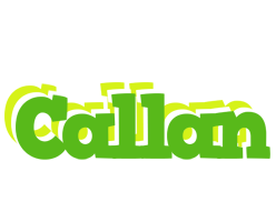 Callan picnic logo