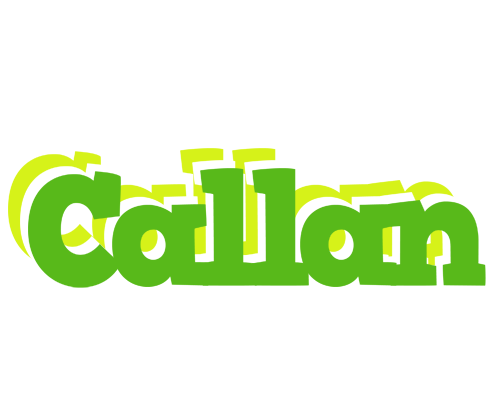 Callan picnic logo