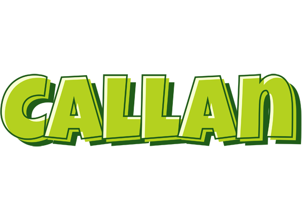 Callan summer logo