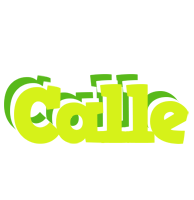 Calle citrus logo