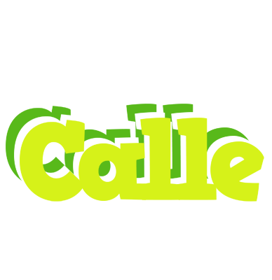 Calle citrus logo
