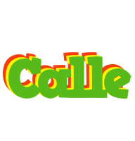 Calle crocodile logo