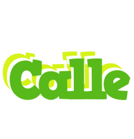 Calle picnic logo