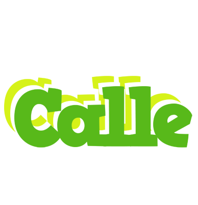 Calle picnic logo