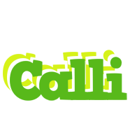 Calli picnic logo