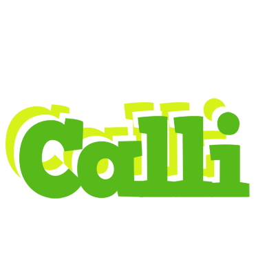 Calli picnic logo