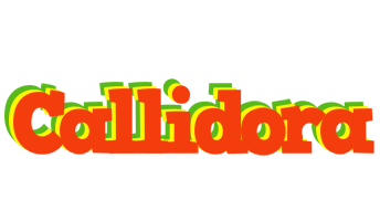 Callidora bbq logo