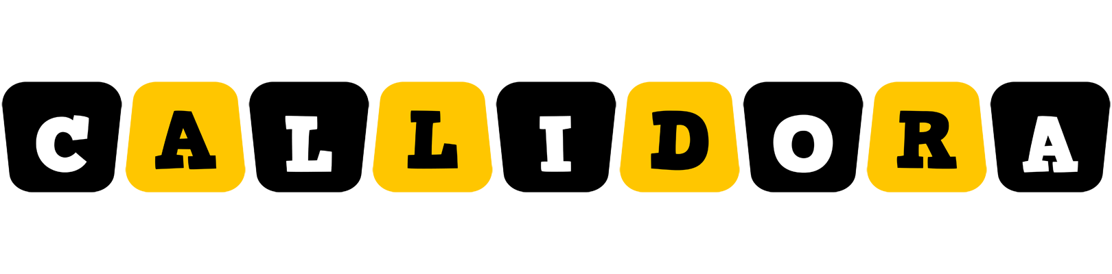 Callidora boots logo