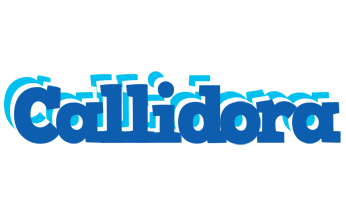 Callidora business logo