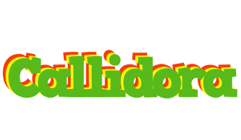 Callidora crocodile logo