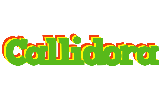 Callidora crocodile logo