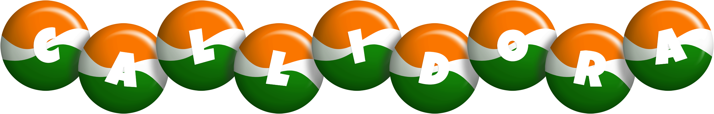 Callidora india logo