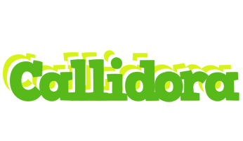 Callidora picnic logo