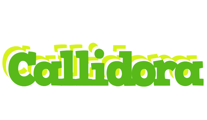Callidora picnic logo